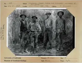  ?? UC-Berkeley / Museum of Vertebrate Zoology via New York Times ?? Ecologist Joseph Grinnell, right, and members of his survey party, in California, in 1910.