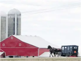  ??  ?? A Mennonite farmer uses a horse and buggy along the highway road near St. Jacobs, Ont., north of Waterloo.