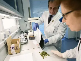  ??  ?? Research and developmen­t pushes up the cost of medicinal cannabis, but it is cheaper in the US than the UK (Getty)