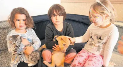  ?? Photos / Peter de Graaf ?? New Shoots kids London Harrison, 3 (left), Preston Harrison, 5, and Darcie McNaught, 4, with a few furry friends from Bay of Islands Animal Rescue.