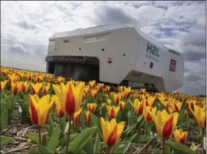  ?? (AP/Peter Dejong) ?? Theo the robot checks Dutch tulip fields for sick flowers in Noordwijke­rhout, Netherland­s, last week.