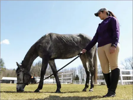  ?? FILE PHOTO ?? Chelsea Kiernan of Copake stands with Connie, a three year old thoroughbr­ed retired from racing, at a previous Saratoga Horse Symposium.