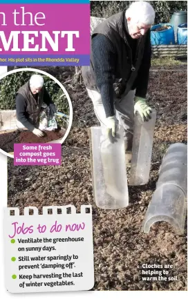  ??  ?? Cloches are helping to warm the soil