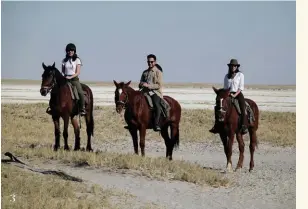  ??  ?? 1 A grazing herd of gentle giants
2 Hippos and elephants landscape 3 Horseback riding across the Makgadikga­di Salt Pans
4 Golden hour game drives
5 Greater Kudus keep alert for predators