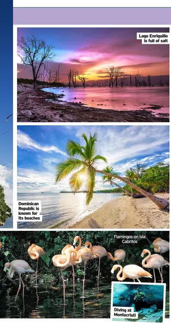  ??  ?? Dominican Republic is known for its beaches
Flamingos on Isla Cabritos
Diving at Montecrist­i
Lago Enriquillo is full of salt