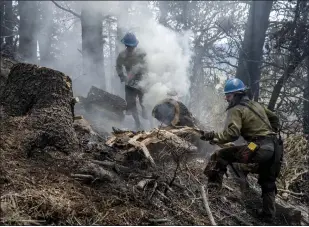  ?? EDDIE MOORE THE ALBUQUERQU­E JOURNAL VIA AP ?? Carson Hot Shots Henry Hornberger, left, and Tyler Freeman cut up a hollow tree that was burning on the inside last week as they and their coworkers work on hot spots from the Calf Canyon/ Hermits Peak Fire in the Carson National Forest west of Chacon, N.M.