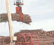  ?? PROVIDED BY LOGAN STANFORD ?? Trees are unloaded by a crane at Buckeye’s Foley plant in Taylor County in 2012. The Foley Cellulose mill in Perry, Fla., announced in September 2023 that Georgia-Pacific plans to permanentl­y close the plant.