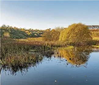  ?? ?? A special place for nature and wildlife – the Den of Maidencrai­g pond.