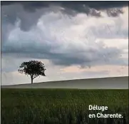  ??  ?? Déluge en Charente.