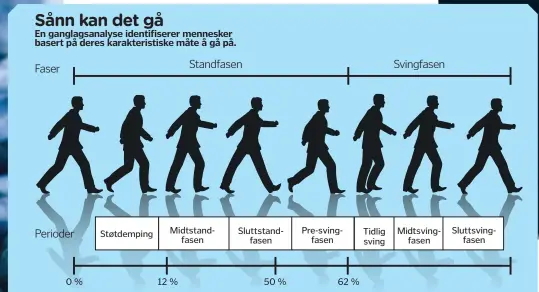  ??  ?? Når den forreste foten er i kontakt med bakken, kalles det standfasen. Når den forreste foten ikke er i kontakt med bakken, kalles det svingfasen. Hvor lang tid hver enkelt fase tar, er svært individuel­t, da det henger sammen med skjelettet og musklenes oppbygning.