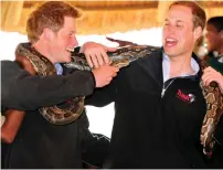  ?? AP file ?? Britain’s Princes William, right, and Prince Harry pose with an African Rock Python at the Mokolodi nature reserve near Gaborone, Botswana, on June 15, 2010. —