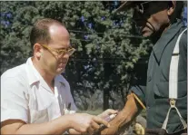  ?? NATIONAL ARCHIVES VIA AP, FILE ?? In this 1950’s photo released by the National Archives, a Black man included in a syphilis study has blood drawn by a doctor in Tuskegee, Ala. Fifty years after the infamous Tuskegee syphilis study was revealed to the public in 1972 and halted, Manhattan-based philanthro­py organizati­on Milbank Memorial Fund is publicly apologizin­g for its role in the infamous Tuskegee syphilis study.