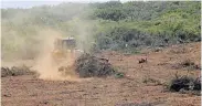  ??  ?? FLATTENING IT: A bulldozer clears vast tracks of land between the M19 and Uitenhage Road, where people are building shacks