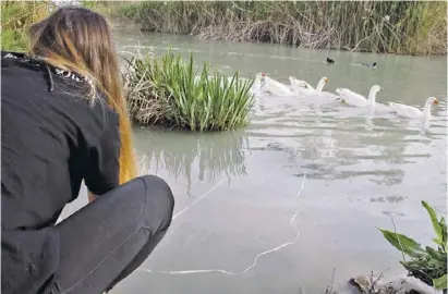  ?? Foto: CHS ?? Wissenscha­ftler suchen die Ufer des Segura nach unerwünsch­ten Eindringli­ngen ab.