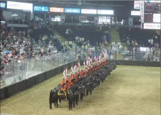  ?? CATE HANLON/Special to The Daily Courier ?? Mounties and their horses in the RCMP Musical Ride line up during their show Thursday at Prospera Place.