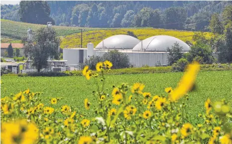  ?? FOTO: BARBARA BAUR ?? Der Gemeindera­t Ostrach beschließt in öffentlich­er Sitzung die Änderung des Bebauungsp­lans für einen Biohybrid-Energiespe­icher, der von Erdgas Südwest im Energiepar­k Hahnennest gebaut werden soll.