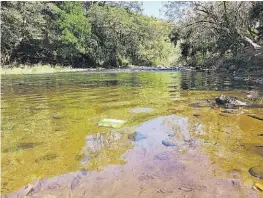  ??  ?? Pendientes. Un tribunal ambiental ordenó al Ingenio La Magdalena asumir las reparacion­es a la vida acuática en el río Grande.