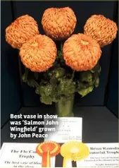  ??  ?? Best vase in show was ‘Salmon John Wingfield’ grown by John Peace