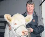  ?? Picture: Mark Ferguson. ?? Andrew Hornall farms a herd of 20 Charolais.