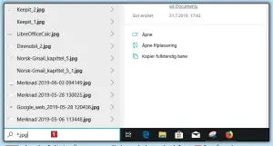  ??  ?? 1
I søkefeltet på oppgavelin­jen skriver du *.jpg 1 for å søke 1 etter alle bilder av typen JPG. Du kan også søke etter andre filtyper du vil finne – som PNG, MP3 eller GIF.