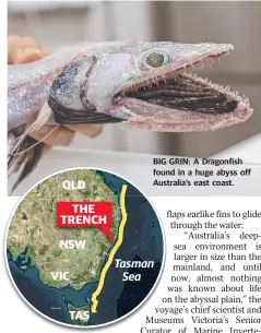  ??  ?? BIG GRIN: A Dragonfish found in a huge abyss off Australia’s east coast.