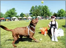  ?? File Photo /ANDY SHUPE ?? The HSO’s 25th annual Dogwood Walk is a perfect opportunit­y for proud dog owners to show off their canine family members.