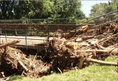  ?? EVAN BRANDT — MEDIANEWS GROUP ?? Entire trees, roots and all, that were swept down Manatawny Creek in Thursday’s flood slammed into the pedestrian bridge in Memorial Park and were held there by the force of the water, acting as a drag that added force the water’s pressure on the bridge.