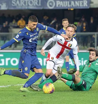  ??  ?? Al Ferraris Domani sera l’Hellas in campo per il posticipo della serie A contro la Sampdoria di Claudio Ranieri