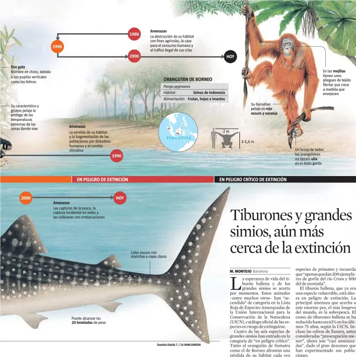  ??  ?? Daniela Dávila T. / LA VANGUARDIA