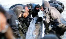  ?? ?? Wisconsin Historical Society archaeolog­ists, assisted by divers from the Dane county sheriff's office, recovered the historic canoe from Lake Mendota on 2 November. Photograph: Wisconsin historical society