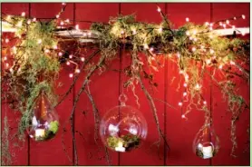  ??  ?? Artificial willow lights are wound around fresh birch branches with moss dripping like tinsel from this outdoor chandelier. Three glass globes are suspended at staggered heights, each filled with moss and battery-operated votives. After the holidays,...