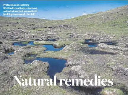  ?? ?? Protecting and restoring Scotland’s peat bogs is seen as a natural winner, but we could still be doing even more in the field