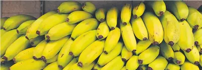  ?? DANIEL ACKER / BLOOMBERG NEWS ?? Juicemaker Cutrale Group
and Safra Group said on Monday in a joint statement
they are offering US$13 a share for Charlotte-based
banana king Chiquita. The proposal is 29% more
than Chiquita’s closing share price on Aug. 8 and isn’t subject to...