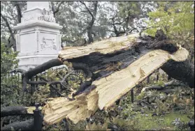  ?? STEPHEN B. MORTON / AP ?? A large tree felled by Hurricane Matthew just misses crashing onto Savannah’s Casimir Pulaski Monument, one of the historic coastal city’s most famous tourist attraction­s.
