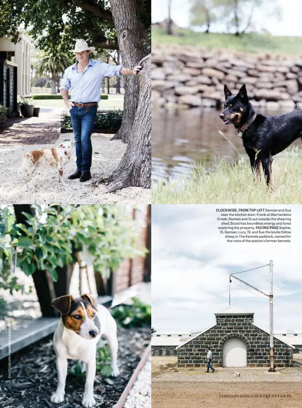  ??  ?? CLOCKWISE, FROM TOP LEFT Damian and Sue near the kitchen door; Frank at Warrambine Creek; Damian and Scout outside the shearing shed; Scout has boundless energy and loves exploring the property. FACING PAGE Sophie, 15, Damian, Lucy, 19, and Sue the koolie follow sheep in The Kennels paddock, named for the ruins of the station’s former kennels.