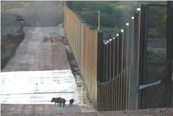  ?? MATT CLARK ?? Le mur constitue aussi une barrière pour les espèces animales.