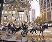  ?? CHRIS SWEDA/CHICAGO TRIBUNE ?? Horse-drawn carriage driver Dave Ford guides Callie on a ride around the Near North side in August 2018.