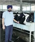  ?? Express Photo ?? Cattle breeder-farmer Sukhjinder Singh Gumman at his 150-cow dairy farm near Batala, Punjab.