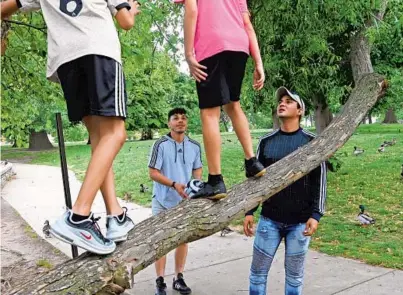  ?? KIM HAIRSTON/BALTIMORE SUN ?? Jeremiah Nieves, whose stage name is “Iyana Deschanel,” and Ryan Butler, whose stage name is “Brooklyn Heights,” talk to Brody, 9, and Sebastian Butler, 11, as the boys stand on a tree limb in Patterson Park.