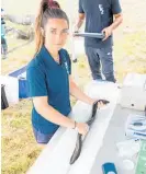  ?? Photo / Supplied ?? Niwa freshwater fish technician Emily White tagging eels.