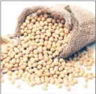  ??  ?? Soyabean exports will raise more forex