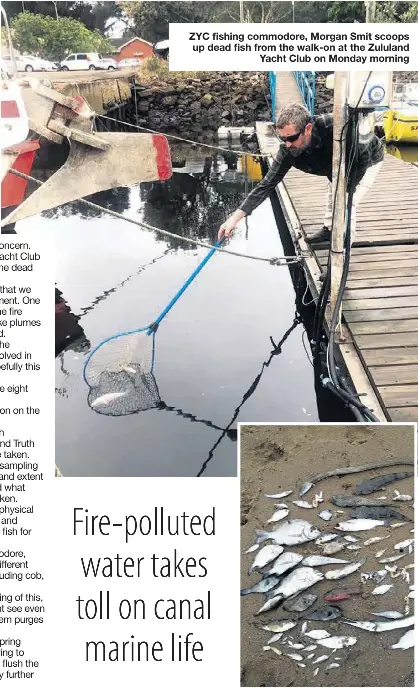 Enviro alert - PressReader