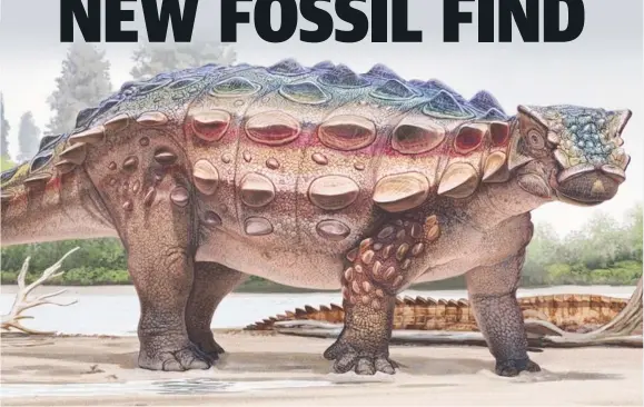  ?? Picture: ANDREY ATUCHIN ?? BIG FIND: Artist’s impression of akainaceph­alus johnsoni, a dinosaur found in Utah that JCU scientist Jelle Wiersma ( below) helped discover.