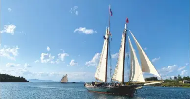  ??  ?? Left: Maine is dotted with hundreds of small islands. Above: restored windjammer­s still sail the waters of Maine without engine.
Below right: Seine netters with a haul of pogies (from the herring family)