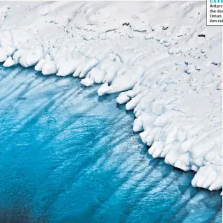  ??  ?? WEATHER EXTREMES
Antarctica, left; the desert in Oman, right; lion cubs, below
