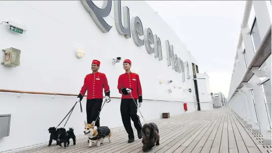  ?? DIANE BONDAREFF/CUNARD ?? Not only does the Queen Mary 2 allow pets, it also offers dog-walking and other pet-friendly services — as do some other transporta­tion providers.