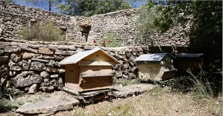  ?? (Photos Hélène Dos Santos) ?? Plusieurs apiés sont encore visibles. Certains sont entourés de murs pour protéger les ruches.