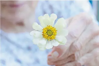  ??  ?? Gardening allows some the opportunit­y to die among the dahlias, trowel in hand.