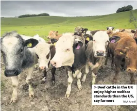  ?? Nick Ansell ?? Beef cattle in the UK enjoy higher welfare standards than the US, say farmers