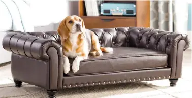  ?? WAYFAIR ?? How about a tufted, Chesterfie­ld-style Wayfair Archie & Oscar sofa? The miniaturiz­ed version can hold dogs up to 80 pounds.